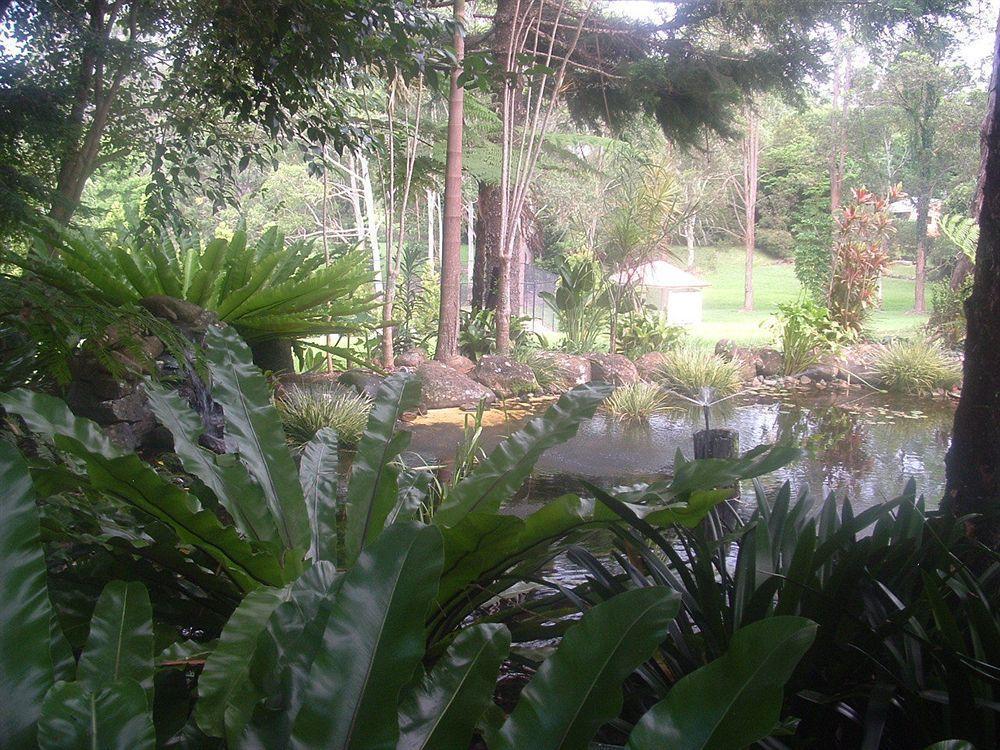 Bendles Cottages Maleny Ngoại thất bức ảnh